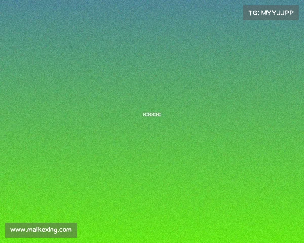 上海体育馆赛事